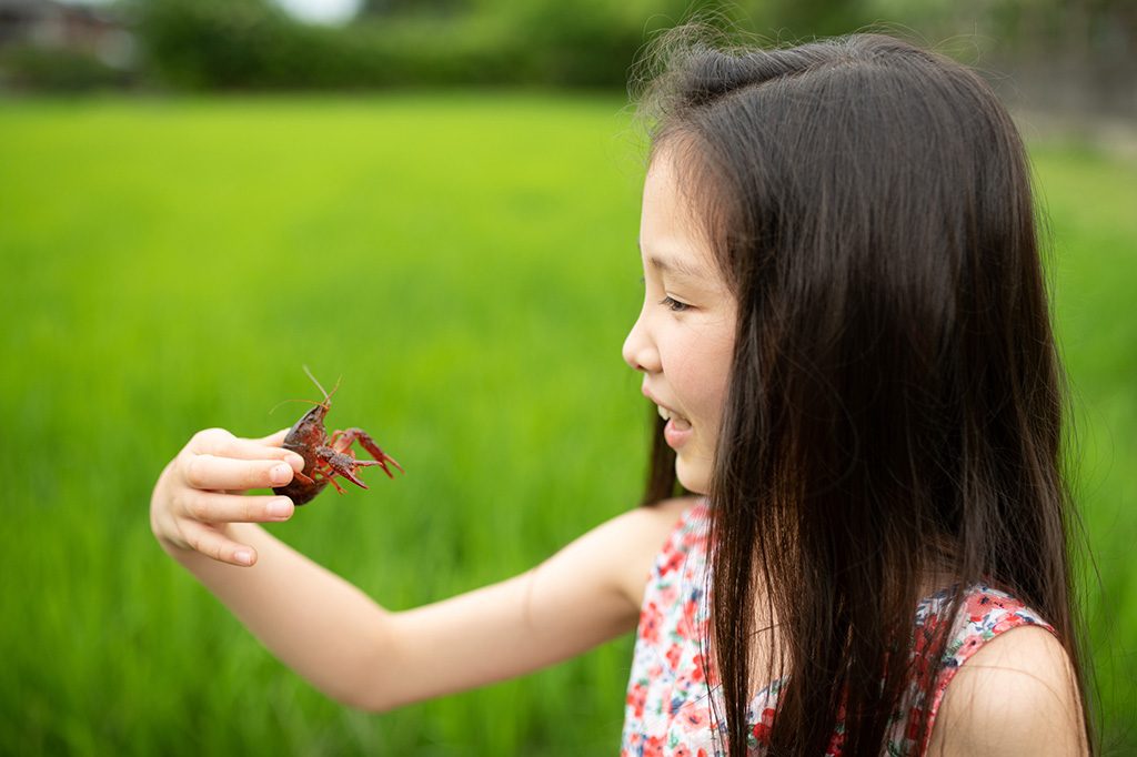 ザリガニを捕まえた子ども