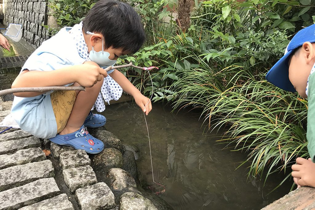 ザリガニ釣りの様子
