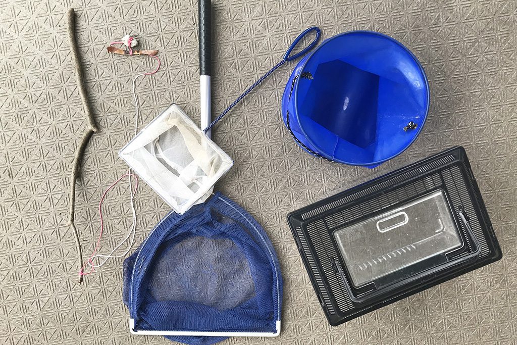 ザリガニ釣りの道具