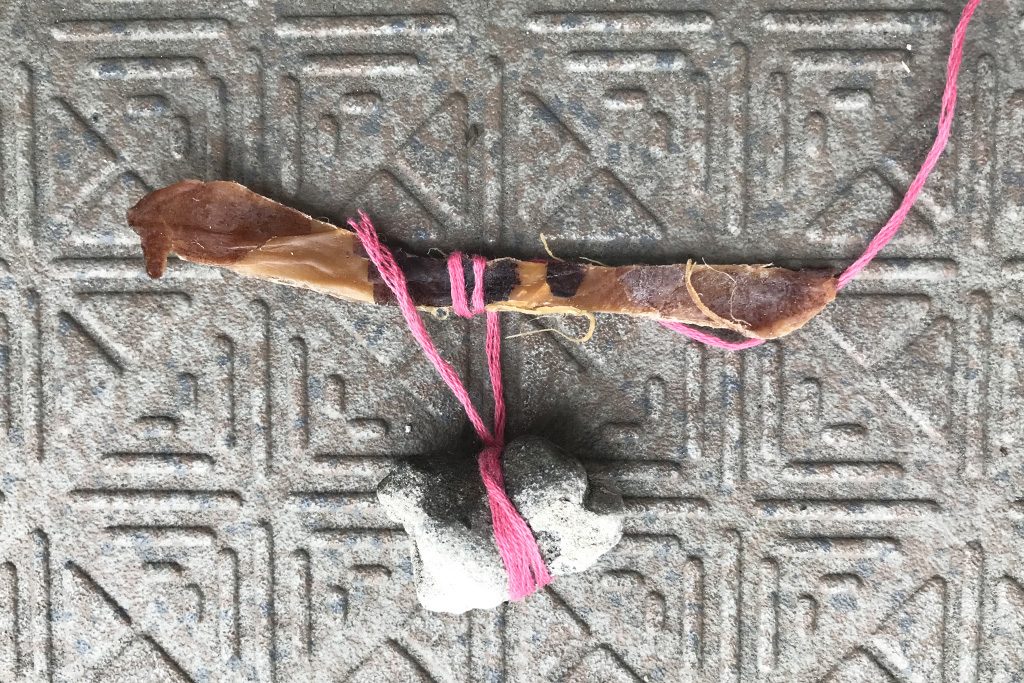 ザリガニ釣りのエサ(ソフト裂きイカ)