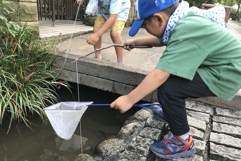 ザリガニ釣りの様子