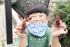 ザリガニ釣りを子どもと楽しむコツ！時期や道具、エサは？外来種問題も確認を