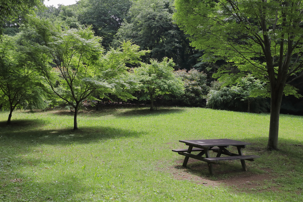「芝生広場」/桜ヶ丘公園(東京都/多摩市)