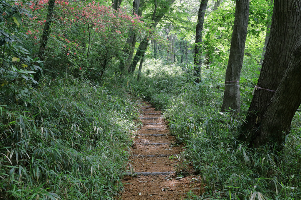 「山道」/桜ヶ丘公園(東京都/多摩市)