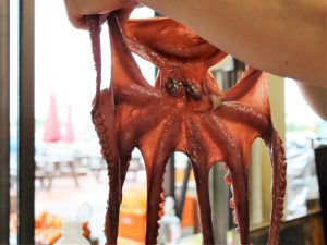 道の駅東浦ターミナルパーク（淡路島）のグルメ&お土産！たこ姿焼きと吹き戻しは必見