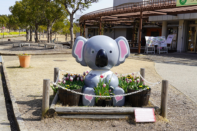 コアラ館のあるグリーンヒルエリア/淡路ファームパーク イングランドの丘（兵庫県/南あわじ市）