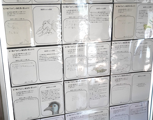 質問コーナー/淡路ファームパーク イングランドの丘（兵庫県/南あわじ市）