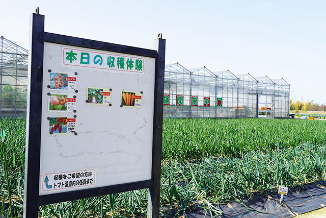 やさい畑と温室/淡路ファームパーク イングランドの丘（兵庫県/南あわじ市）