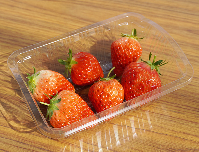 計り売りのいちご/淡路ファームパーク イングランドの丘（兵庫県/南あわじ市）