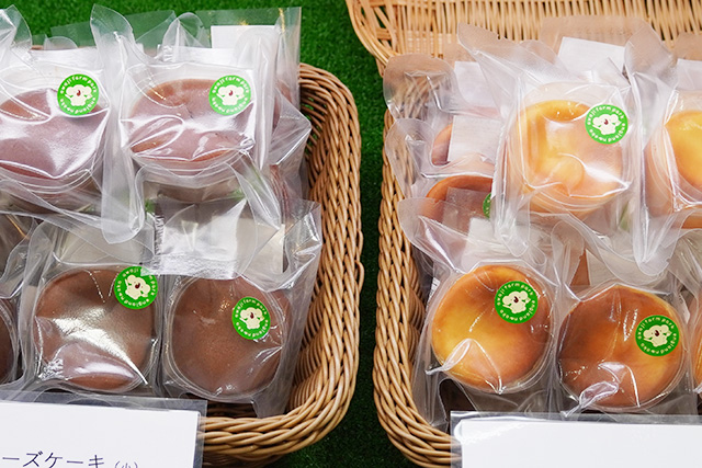 コアラと島チーズケーキ/淡路ファームパーク イングランドの丘（兵庫県/南あわじ市）