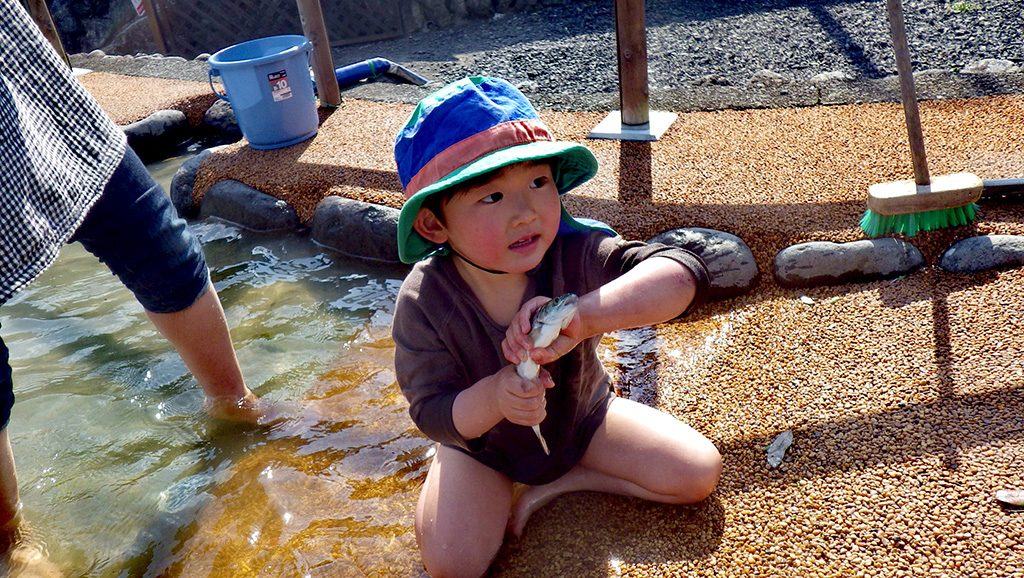 魚つかみ取り体験の様子
