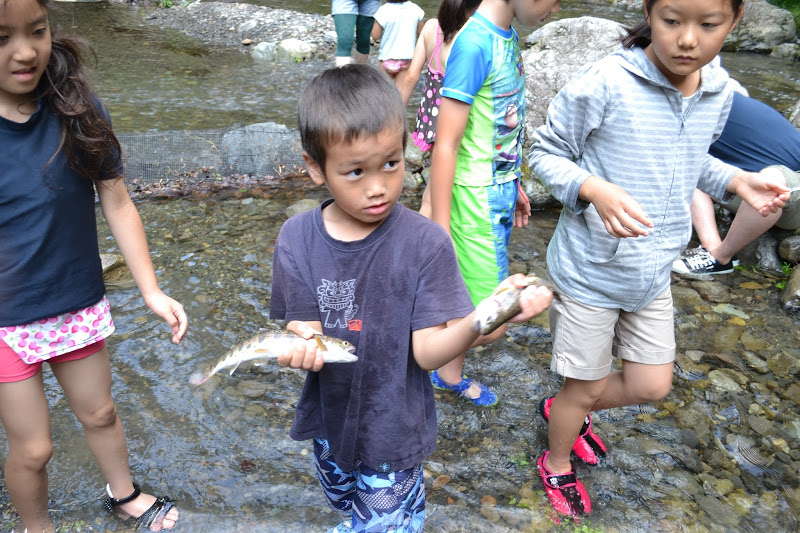 魚つかみ取り体験/「トラウトファーム秋川」(東京都/桧原村)