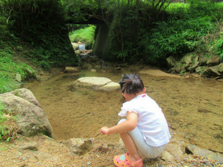 川遊びの様子/「自然の森ファミリーオートキャンプ場」(大阪府/能勢町)