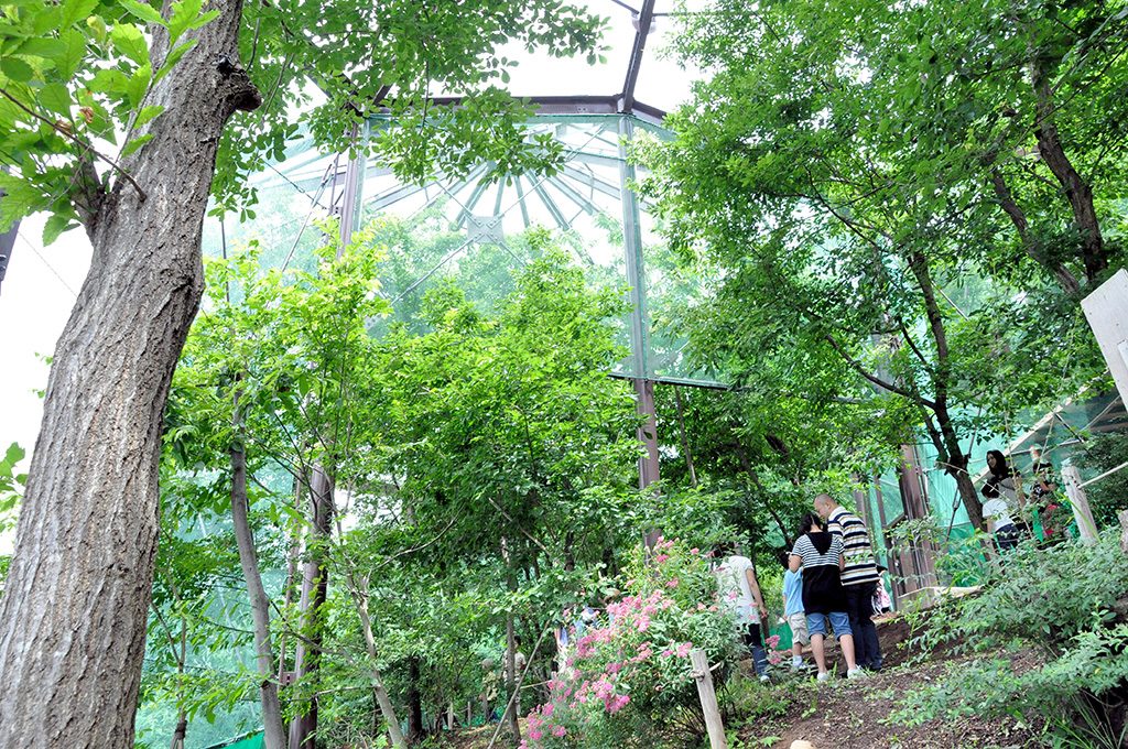 昆虫体験学習館（長野県/佐久市）