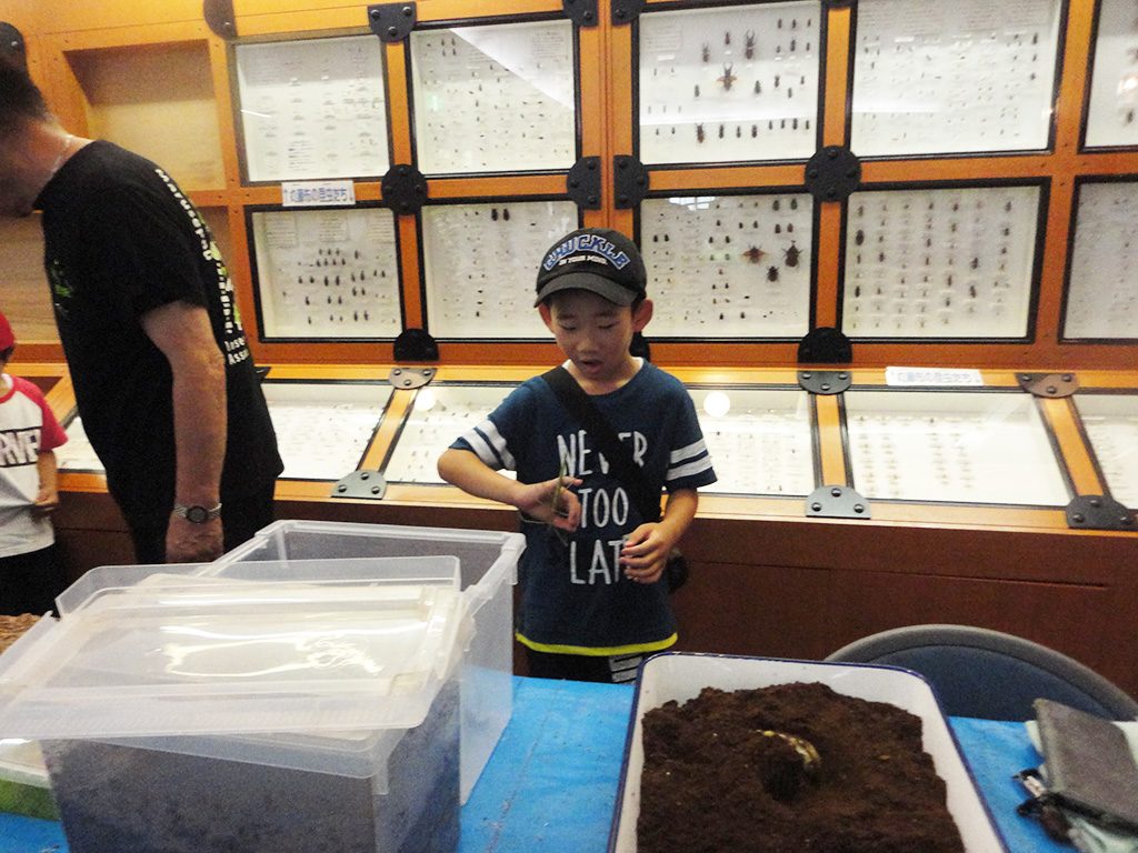 丸瀬布昆虫生態館（北海道/遠軽町）