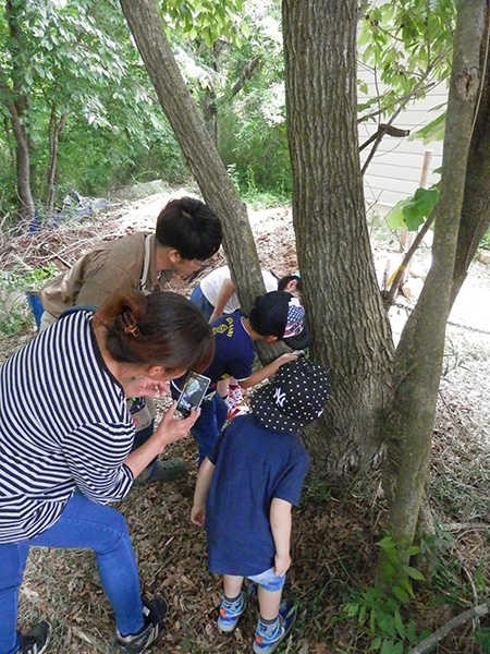 那須昆虫ワールド(栃木県/那須町)
