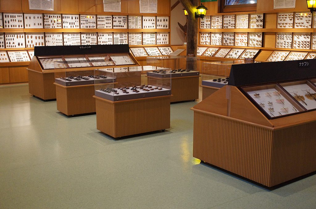 /当麻世界の昆虫館 パピヨンシャトー（北海道/当麻町）