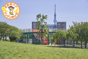 大型複合遊具が楽しい汐入公園(荒川区)でスカイツリーを望みながら思いっきり遊ぼう
