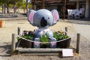 「淡路ファームパーク イングランドの丘」はコアラ館やアトラクションなど魅力満載