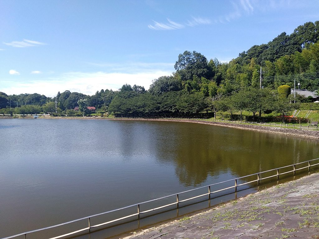 坂田ケ池/坂田ケ池総合公園(千葉県/成田市)