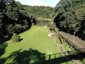 坂田ケ池総合公園（成田市）の小川で水遊び！アスレチック遊具やローラー滑り台も