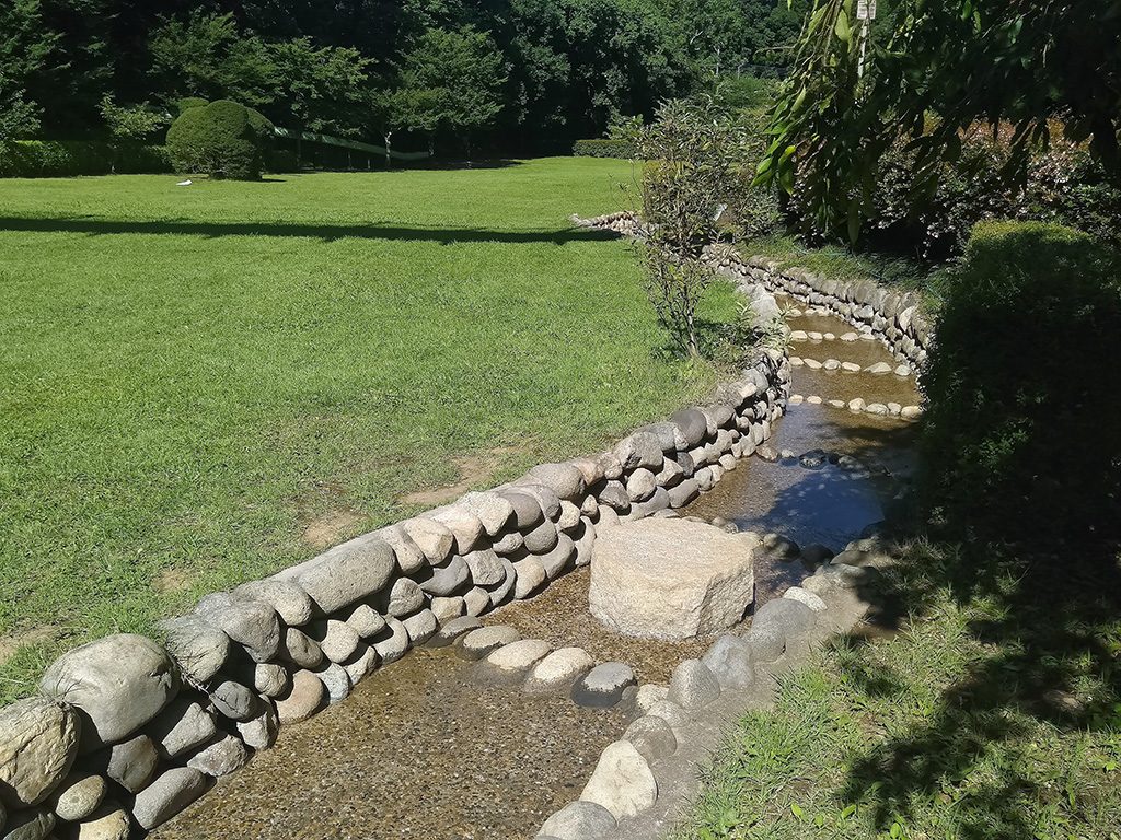 全長20~30mの小川/坂田ケ池総合公園(千葉県/成田市)