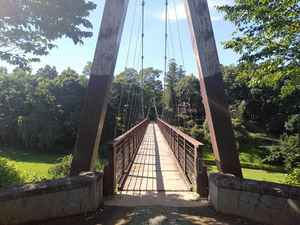 吊り橋「龍の道」/坂田ケ池総合公園(千葉県/成田市)