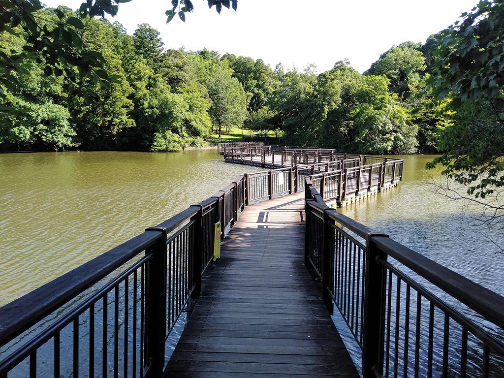 広大な園内には散策道が整備/坂田ケ池総合公園(千葉県/成田市)