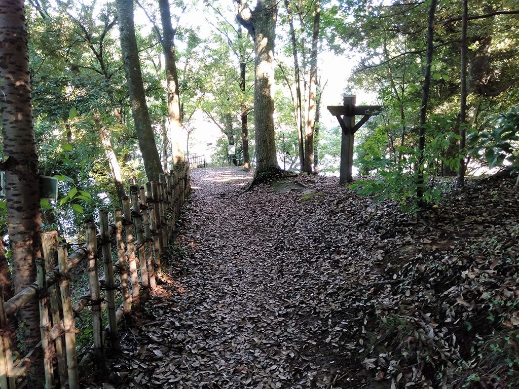 広大な園内には散策道が整備/坂田ケ池総合公園(千葉県/成田市)