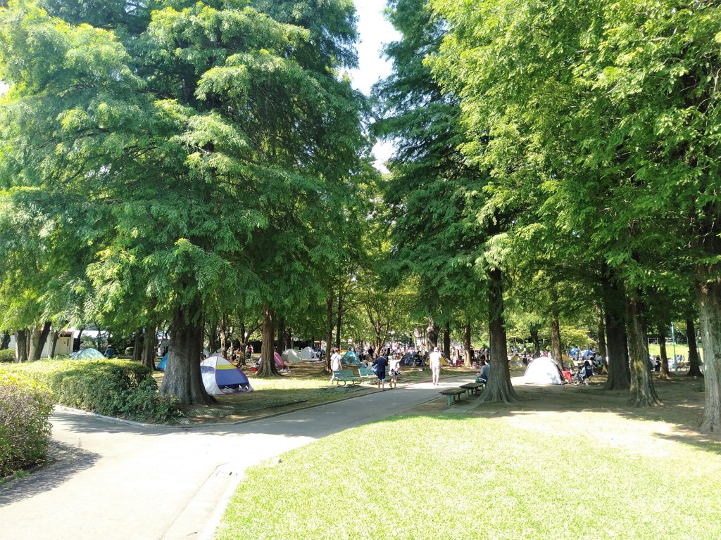 園内の様子/大崎公園(埼玉県/さいたま市)