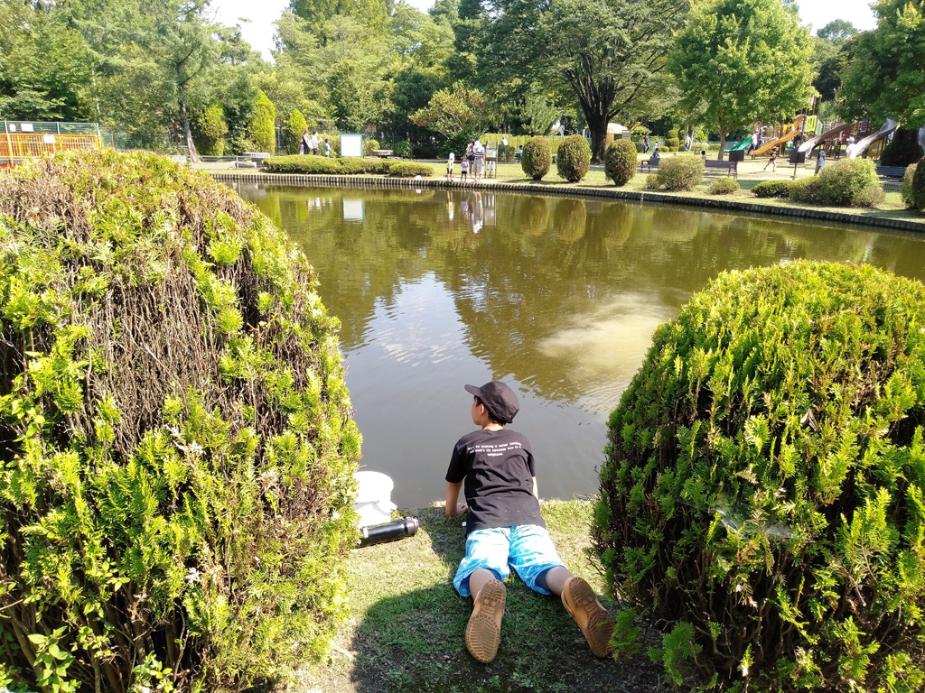 子供釣り池/大崎公園(埼玉県/さいたま市)