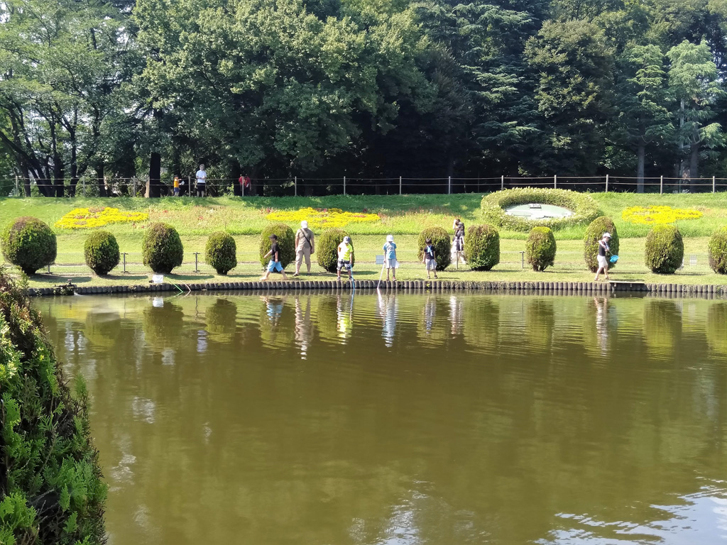 子供釣り池/大崎公園(埼玉県/さいたま市)