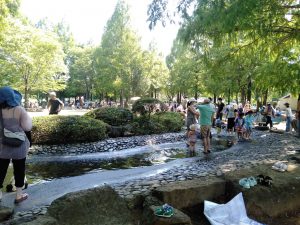 大崎公園（さいたま市）のジャブジャブ池で水遊び！釣り池、子供動物園など1日遊べる