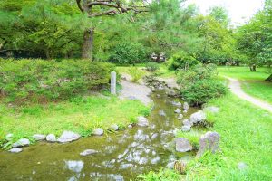 京都御苑の小川で水遊び！子どもの遊び場や散策路、お弁当OKの休憩所なども紹介