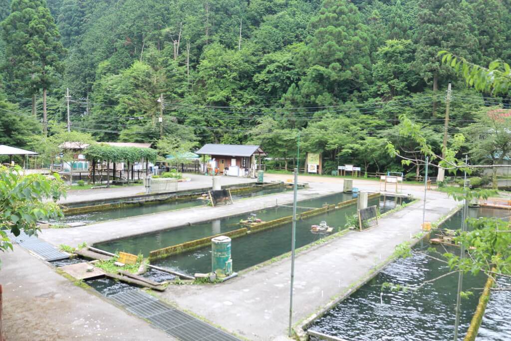 滋賀県醒井養鱒場（滋賀県/米原市）