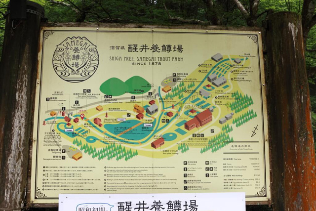 案内図/滋賀県醒井養鱒場(滋賀県/米原市)