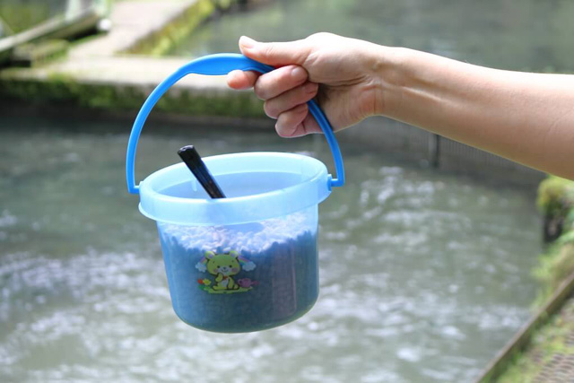 バケツタイプの餌/滋賀県醒井養鱒場(滋賀県/米原市)