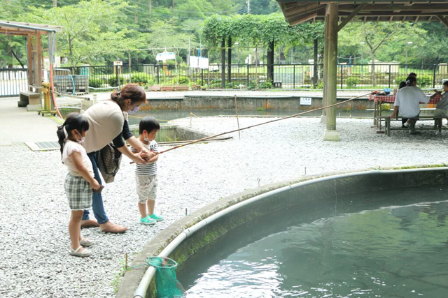 ニジマス釣り体験(エサ釣り場)/滋賀県醒井養鱒場(滋賀県/米原市)