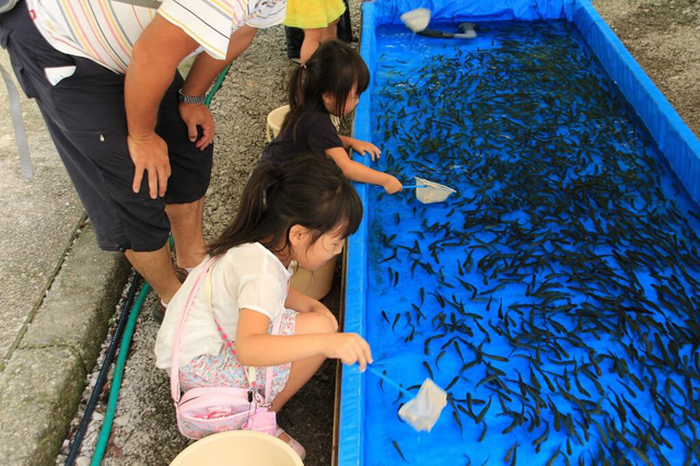 魚すくい体験/滋賀県醒井養鱒場(滋賀県/米原市)
