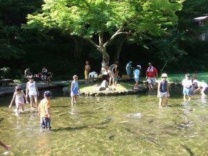 醒井養鱒場は年中ルアー釣り可能!釣り体験、水遊び、ミニ水族館で子どもも大満足