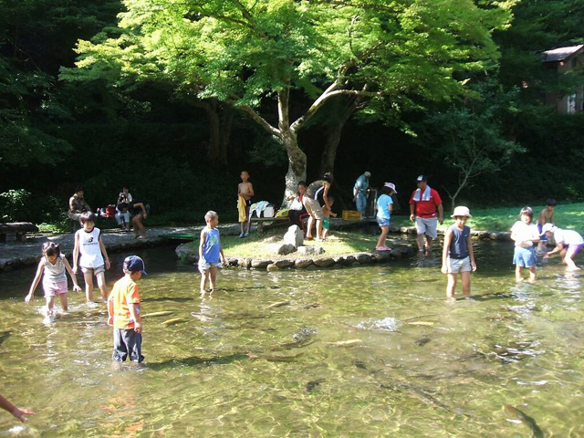 おさかなタッチング(ふれあい河川)/滋賀県醒井養鱒場(滋賀県/米原市)