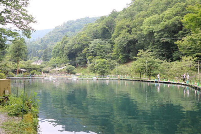 ルアー釣り場/滋賀県醒井養鱒場(滋賀県/米原市)