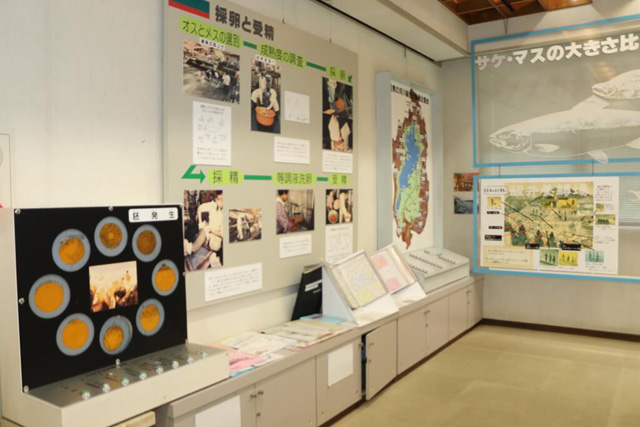 展示コーナー/滋賀県醒井養鱒場(滋賀県/米原市)