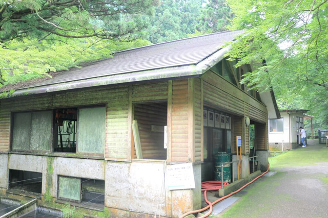 採卵場/滋賀県醒井養鱒場(滋賀県/米原市)
