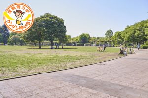 武蔵国分寺公園(国分寺市)は2つの芝生の広場をもつ水と緑のオアシス