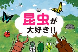 昆虫が大好き!!｜採集・飼育・生態解説から全国の昆虫館・体験スポットまで
