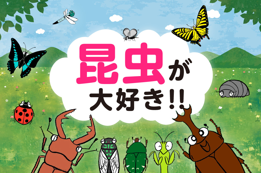 昆虫が大好き！