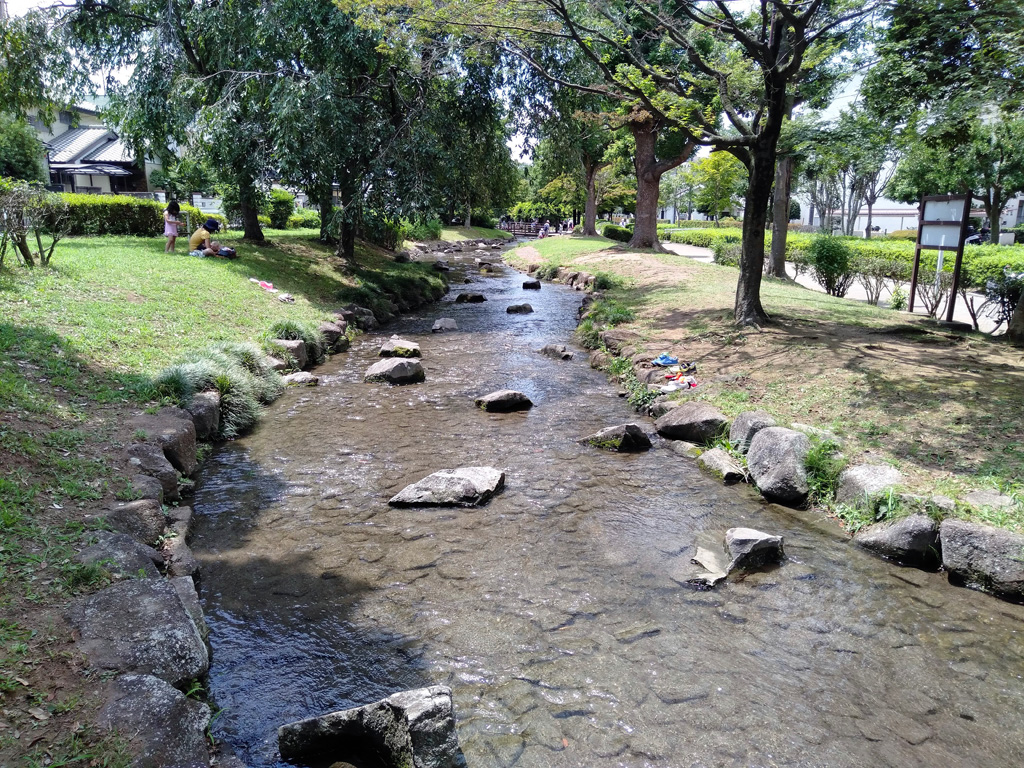 園内をゆるやかに流れる小川/東大宮親水公園(埼玉県/さいたま市)