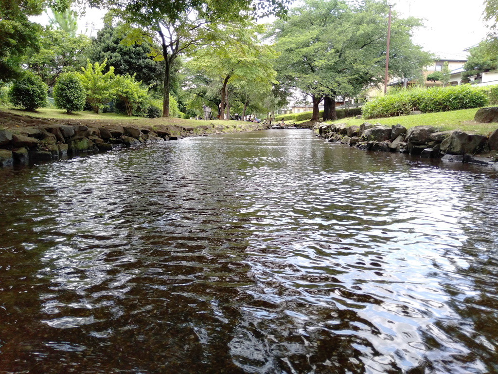 約250mもある小川/東大宮親水公園(埼玉県/さいたま市)