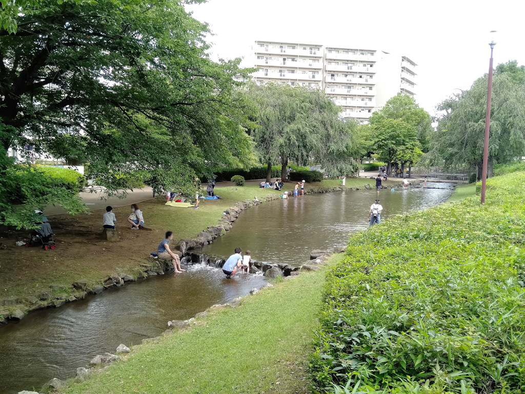 約250mもある小川/東大宮親水公園(埼玉県/さいたま市)